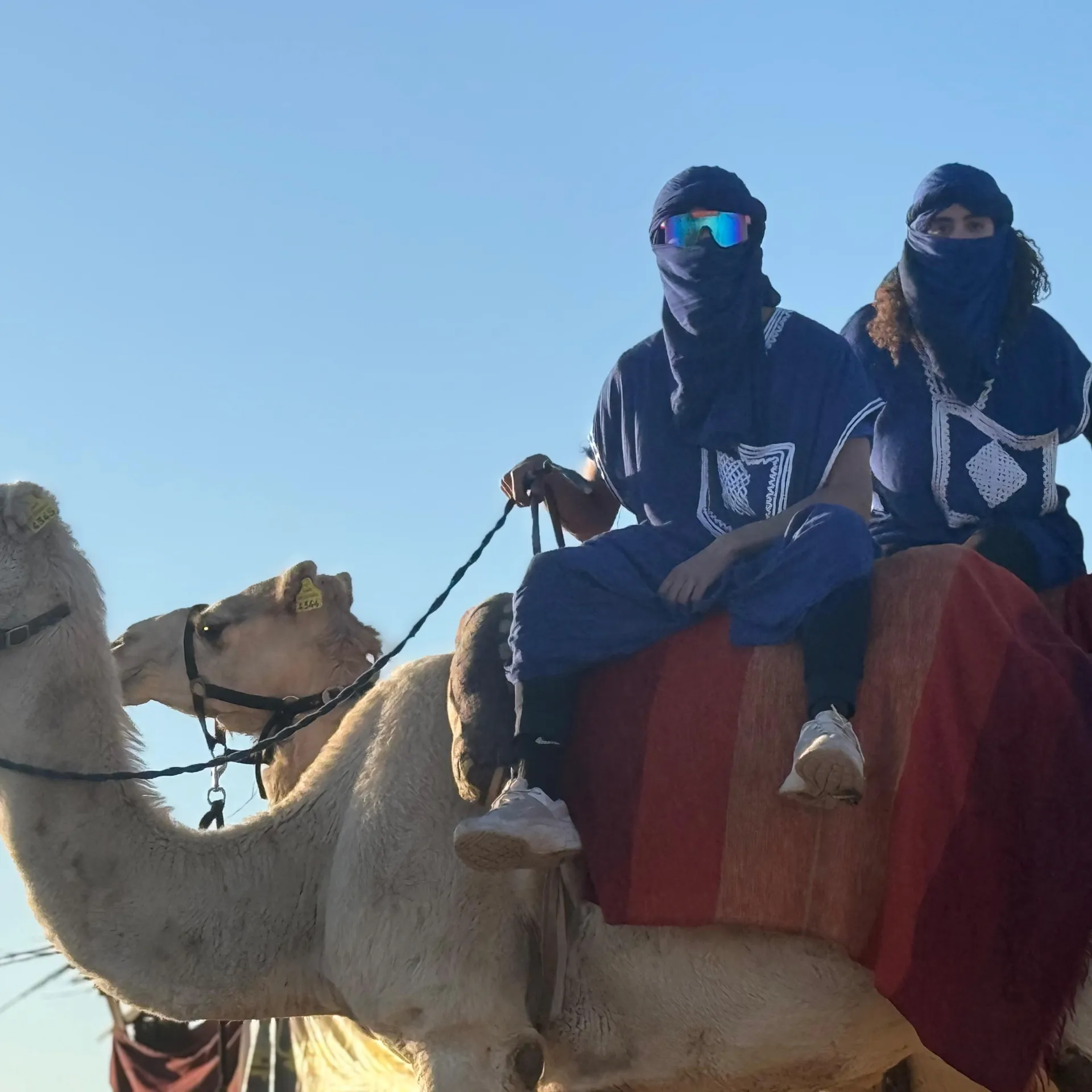 Homme et femme à la Palmeraie de Marrakech, chacun assis sur un dromadaire. Le couple porte une tenue bleue traditionnelle avec un chèche bleu