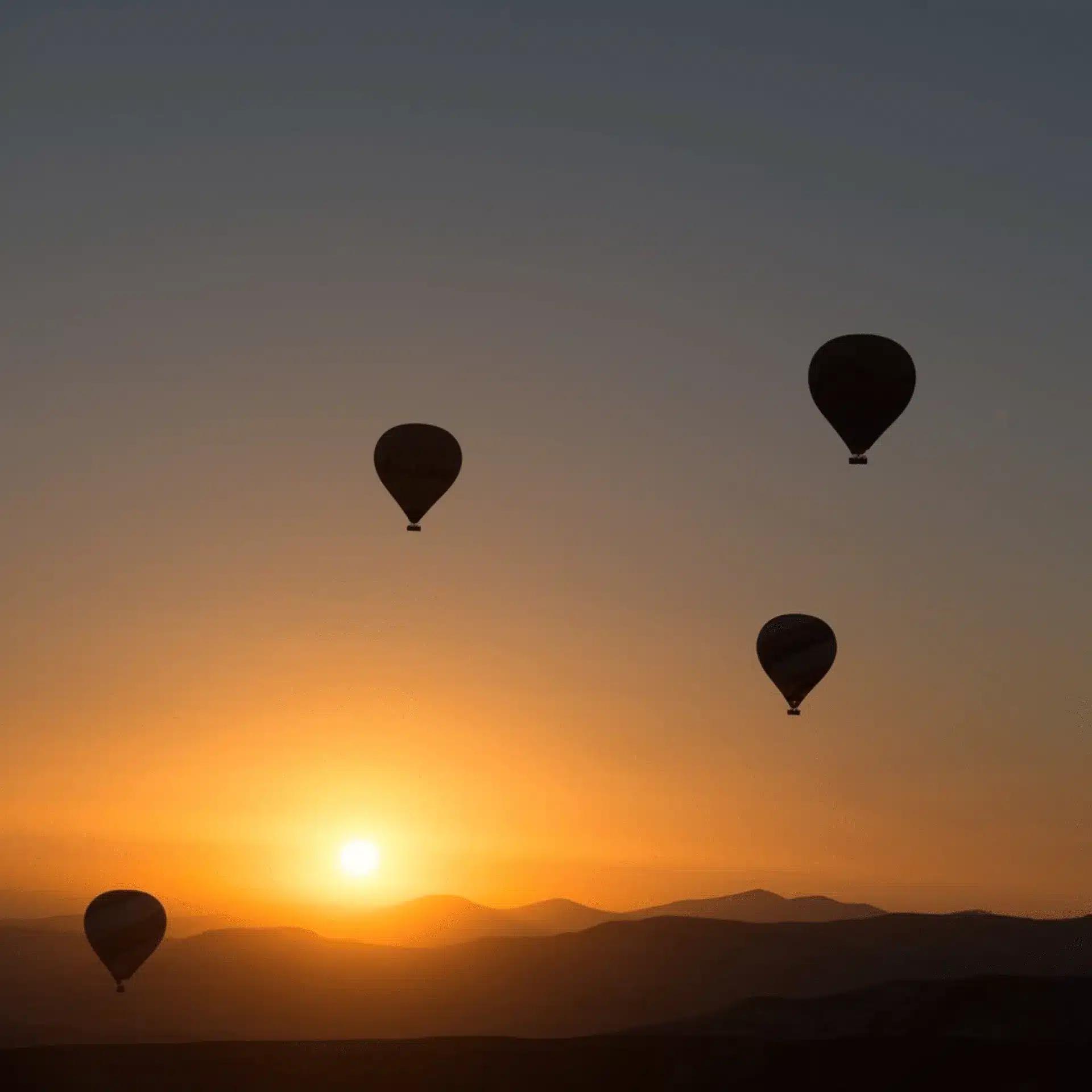 Silhouettes de montgolfières survolant Marrakech au coucher du soleil, ciel orangé au-dessus de la palmeraie